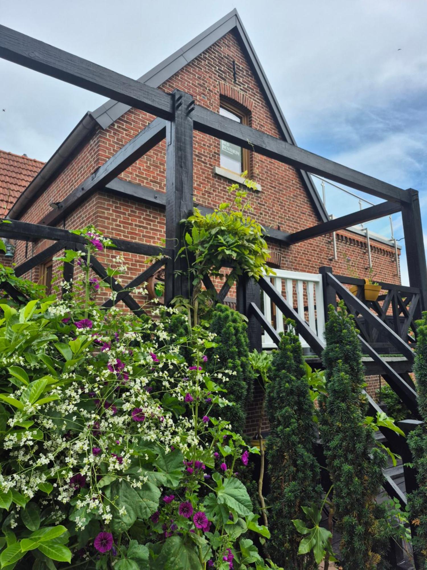 Apartamento Bed Bentheim Bad Bentheim Exterior foto
